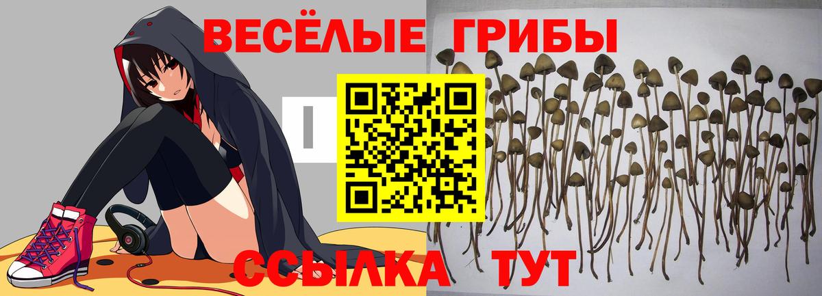 Галлюциногенные грибы мицелий Великие Луки