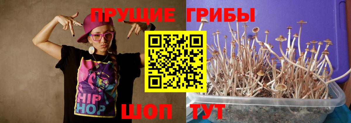 Псилоцибиновые грибы мухоморы  Вход с VPN  Великие Луки 